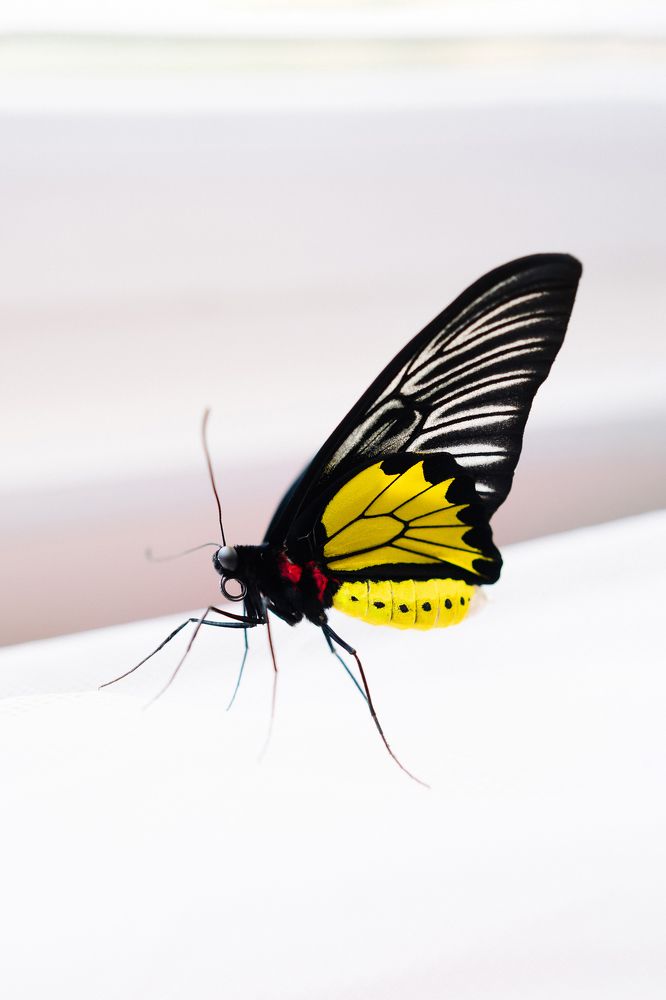 Фотография автора Дарья Лещенко