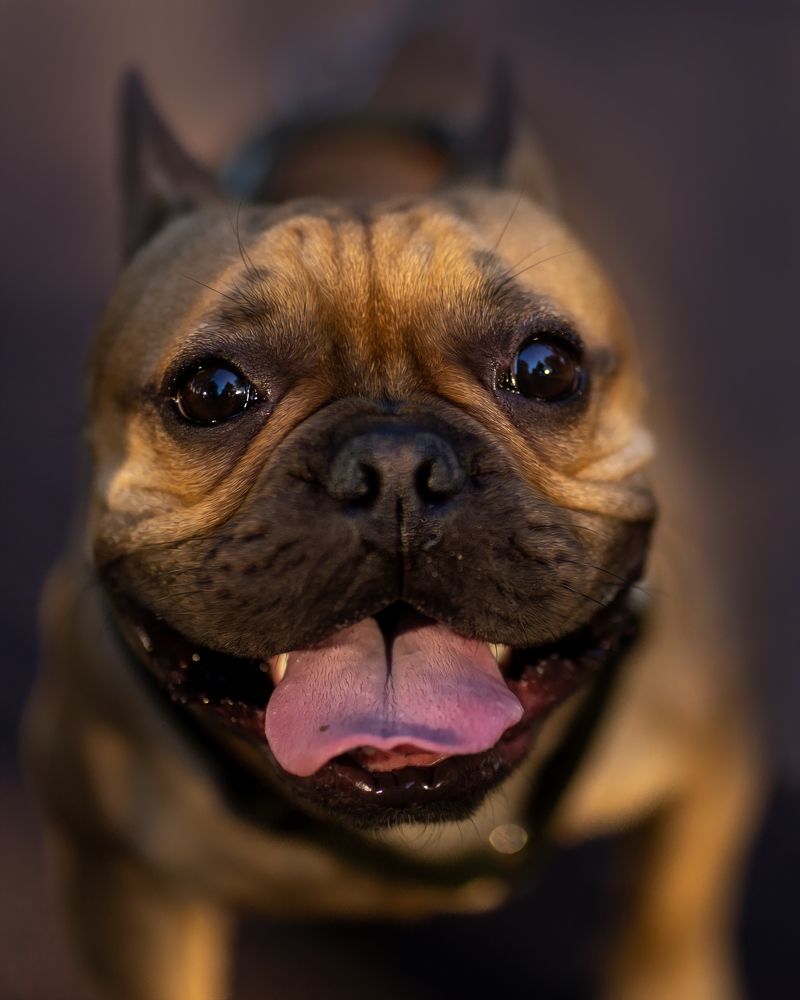 Photograph by Оксана Антипова