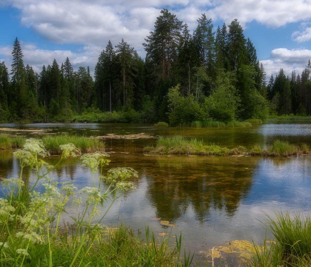 Photograph by Светлана Ващенко