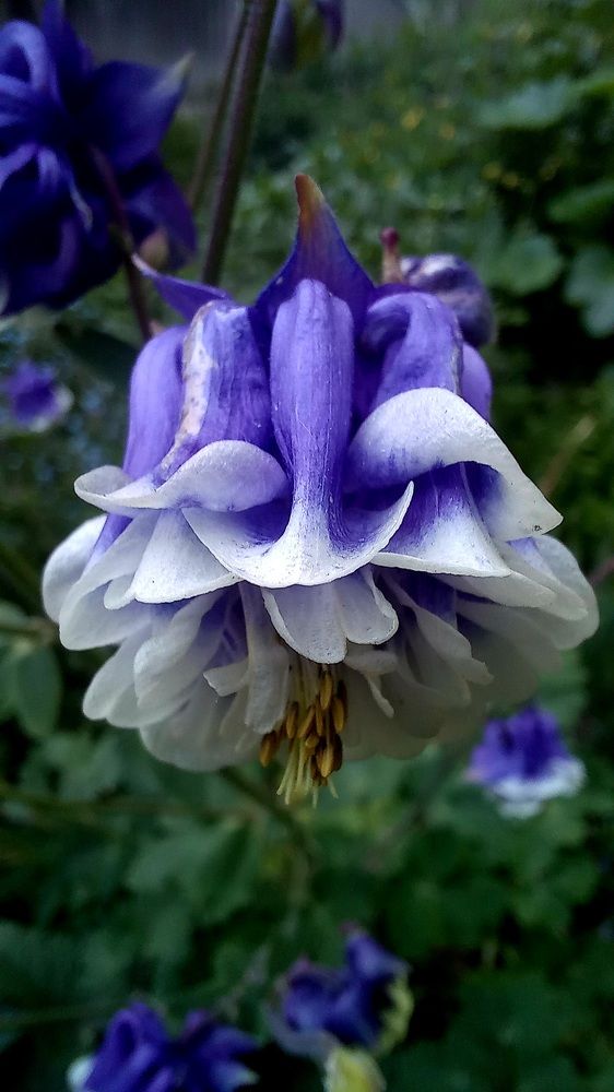 Photograph by Каковкина Ольга