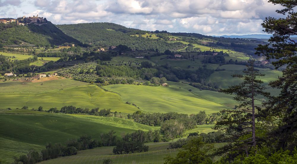 Photograph by Валентина Булкина