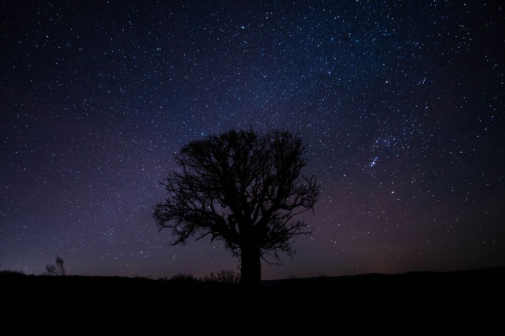 Photograph by Nikolay Dimitrov