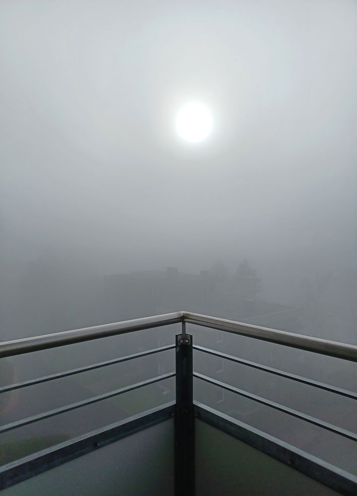 Фотография автора Meer GHERSBERG