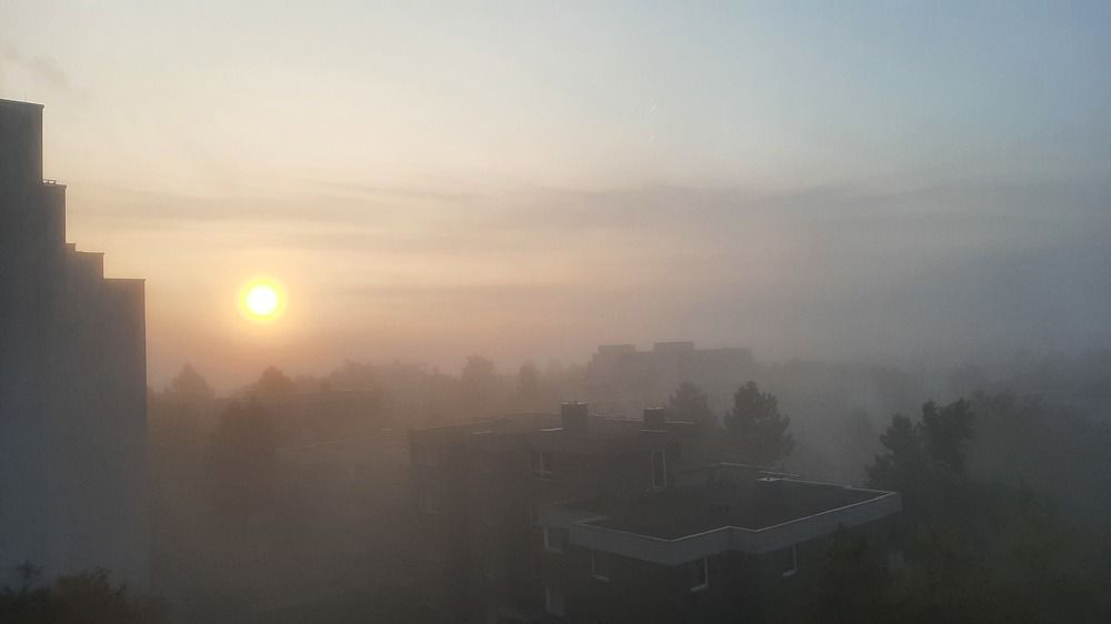 Фотография автора Meer GHERSBERG