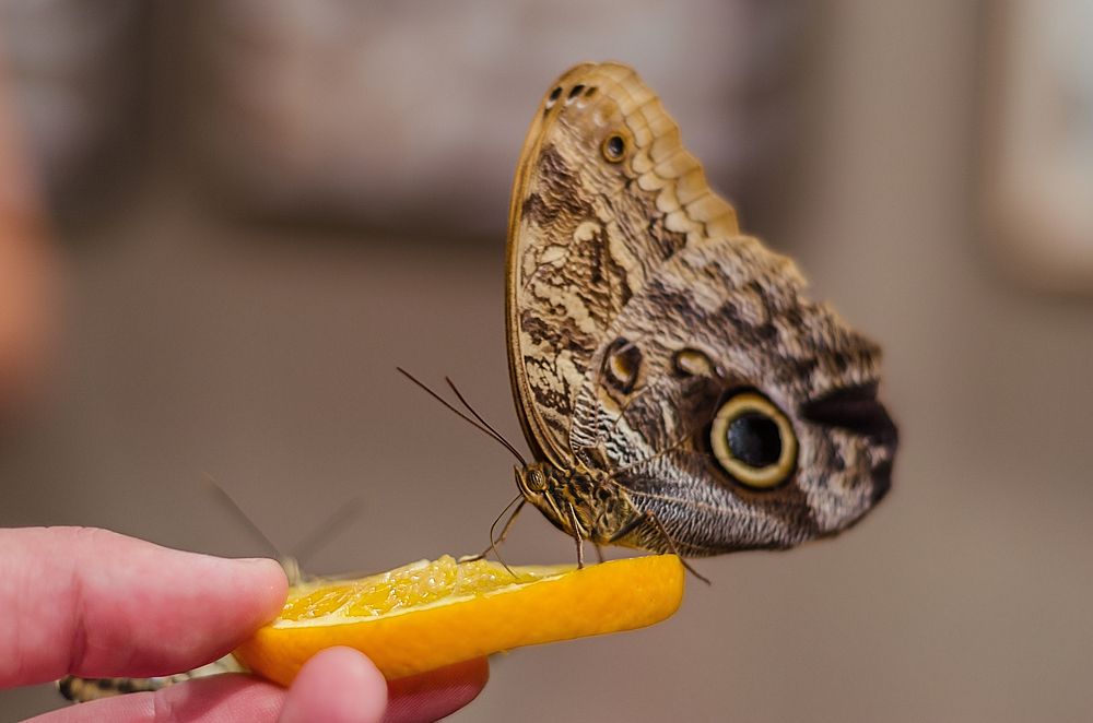 Photograph by Алёна