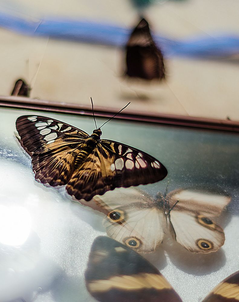 Photograph by Алёна