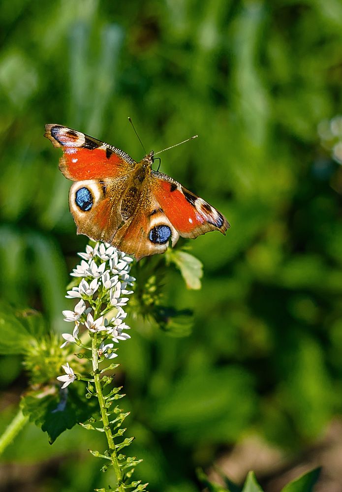 Photograph by Алёна