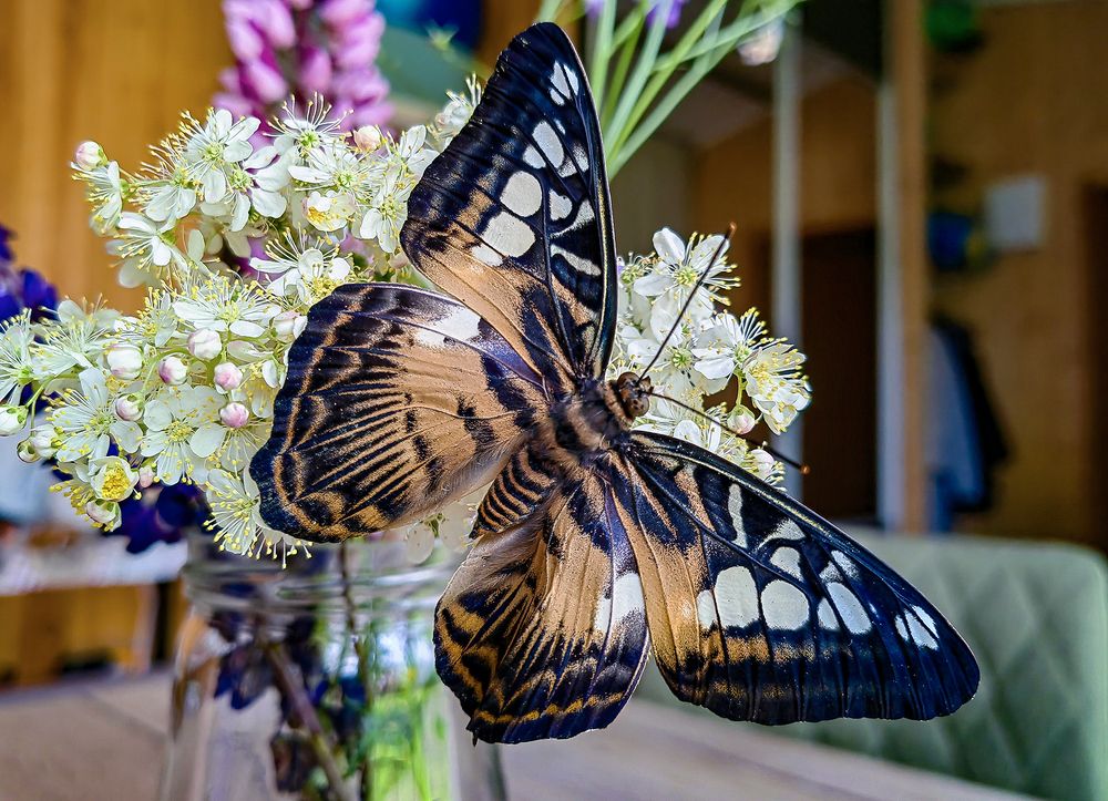 Photograph by Алексей Окунеев