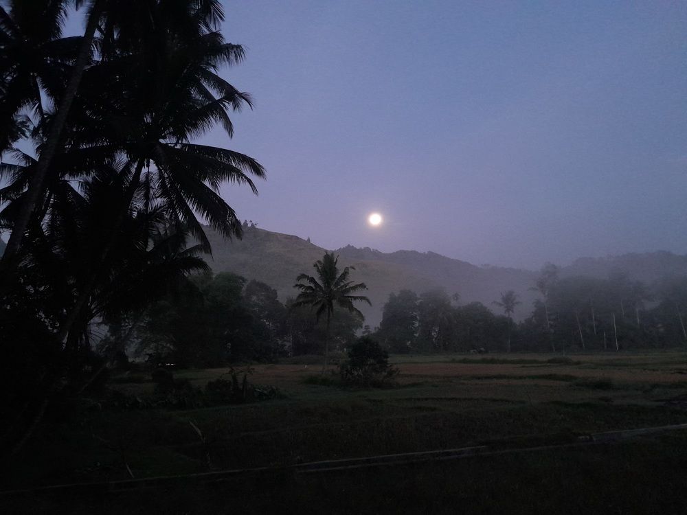 When The Moon going Down