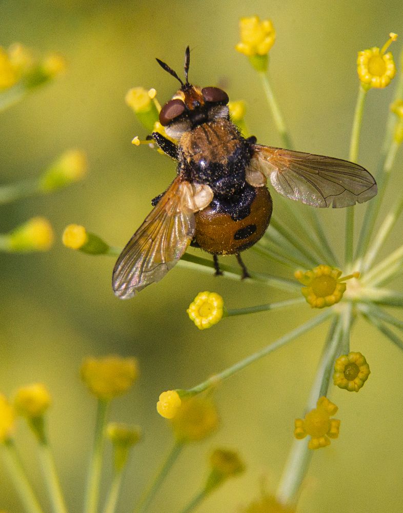 Photograph by Алёна