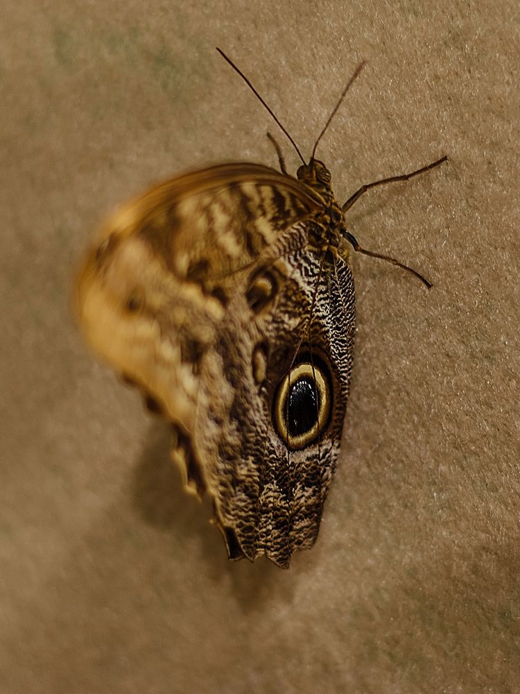 Photograph by Алёна