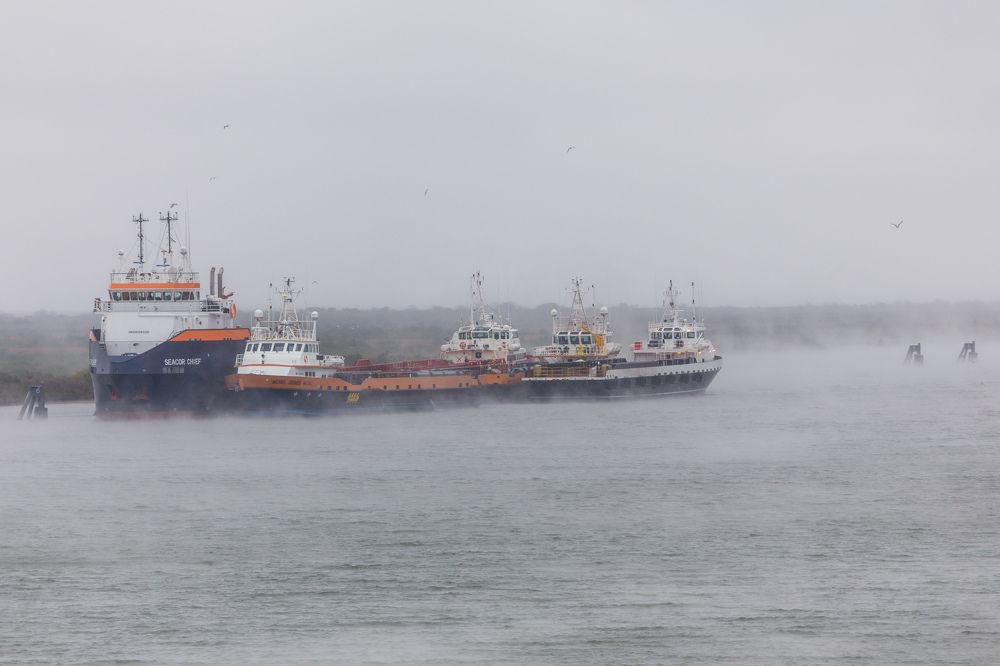 Photograph by Алексей Шматков