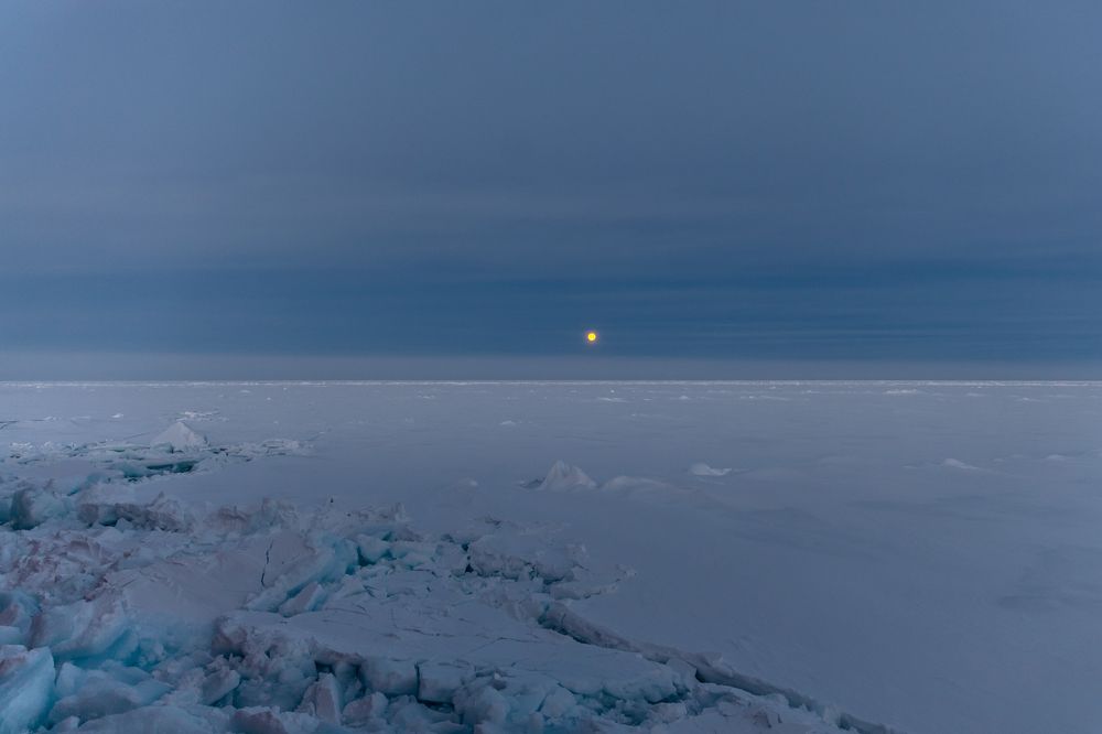 Photograph by Алексей Шматков