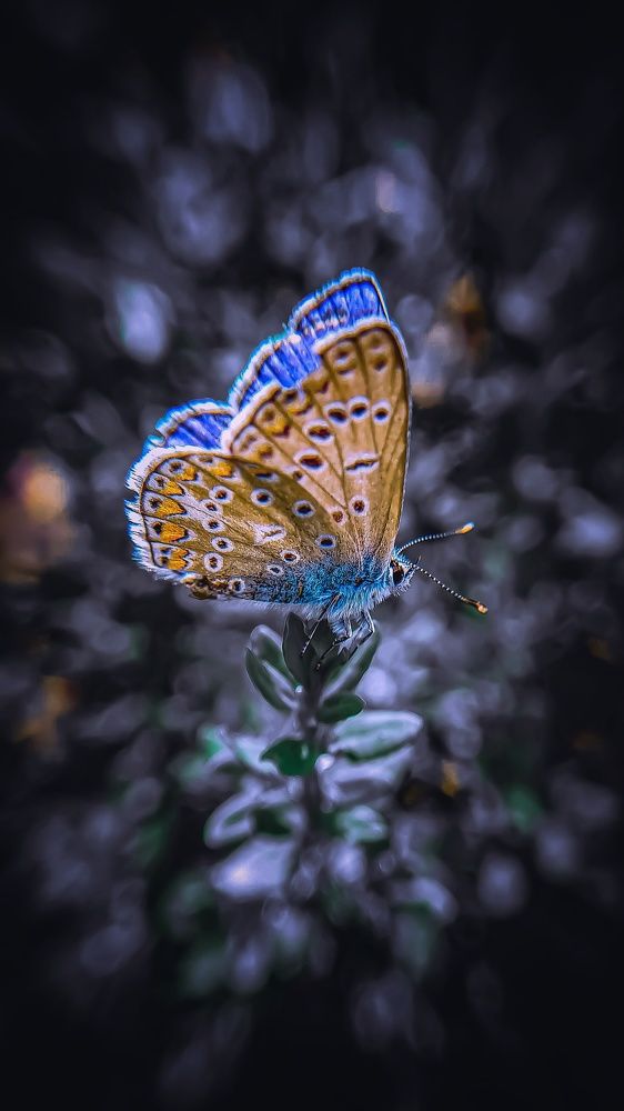 Photograph by Natalya