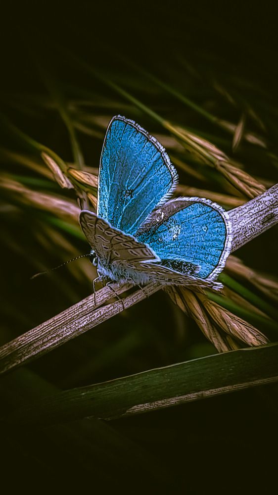 Photograph by Natalya