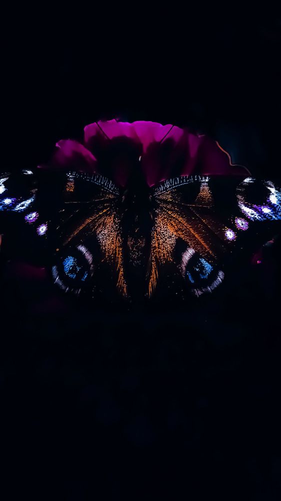 Photograph by Natalya