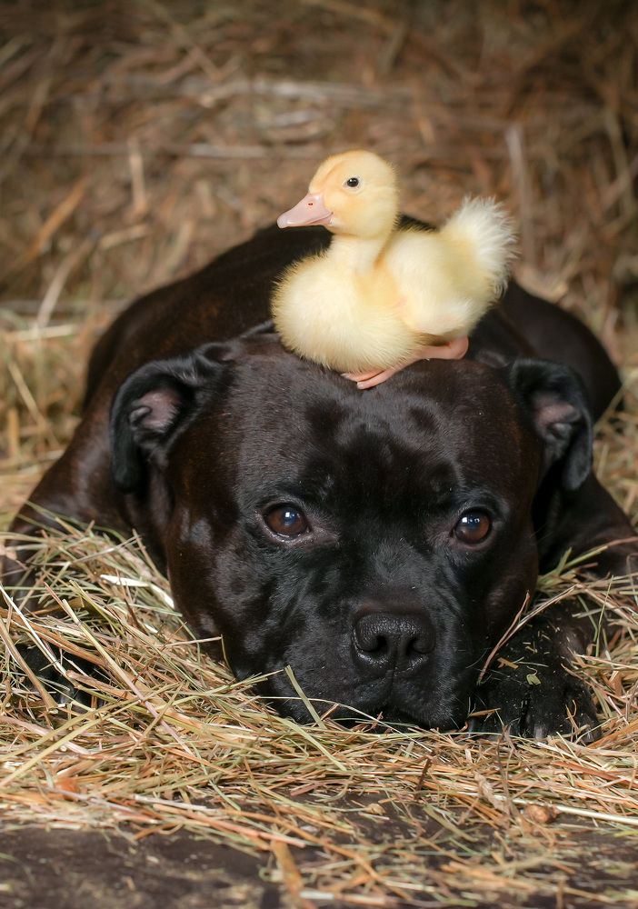 Photograph by Марина Суздаль