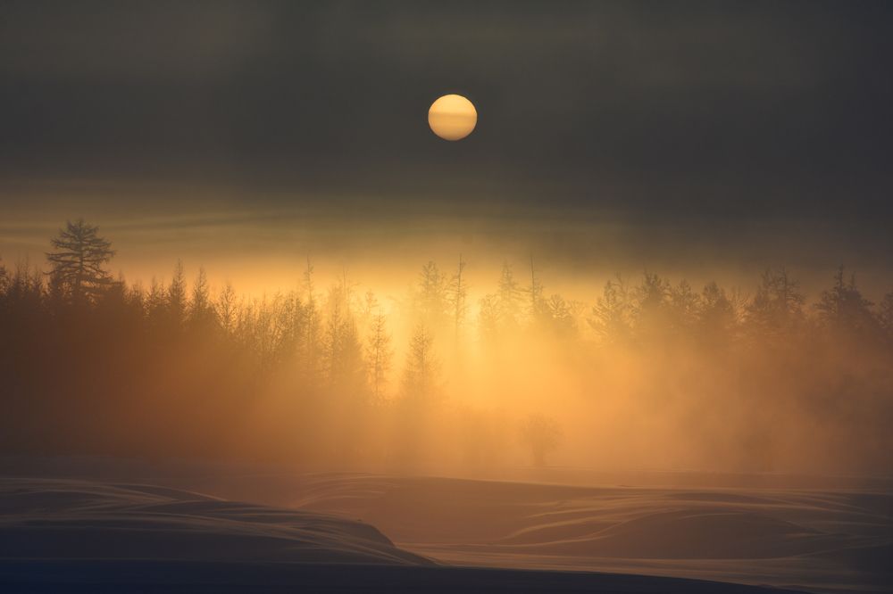 В -60 °С. Кобяйский район. Якутия.