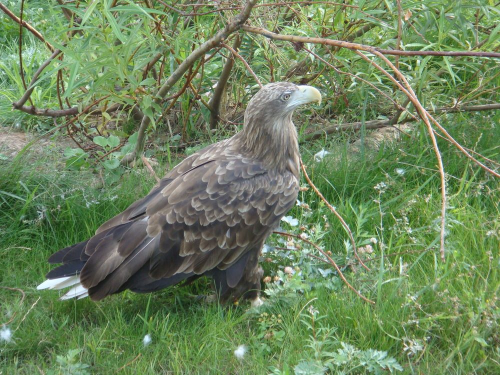 Photograph by Дмитрий Симагин