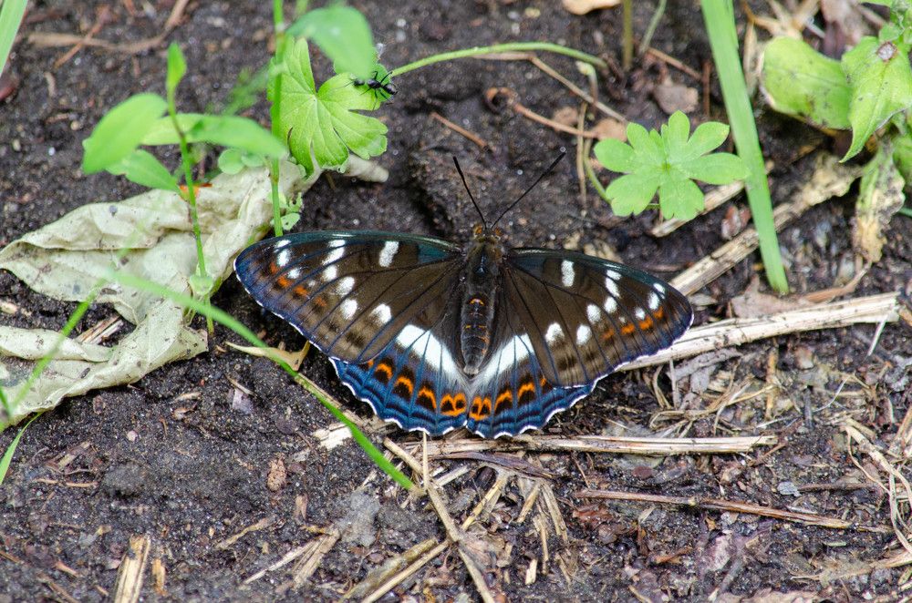 Photograph by Вадим Басов
