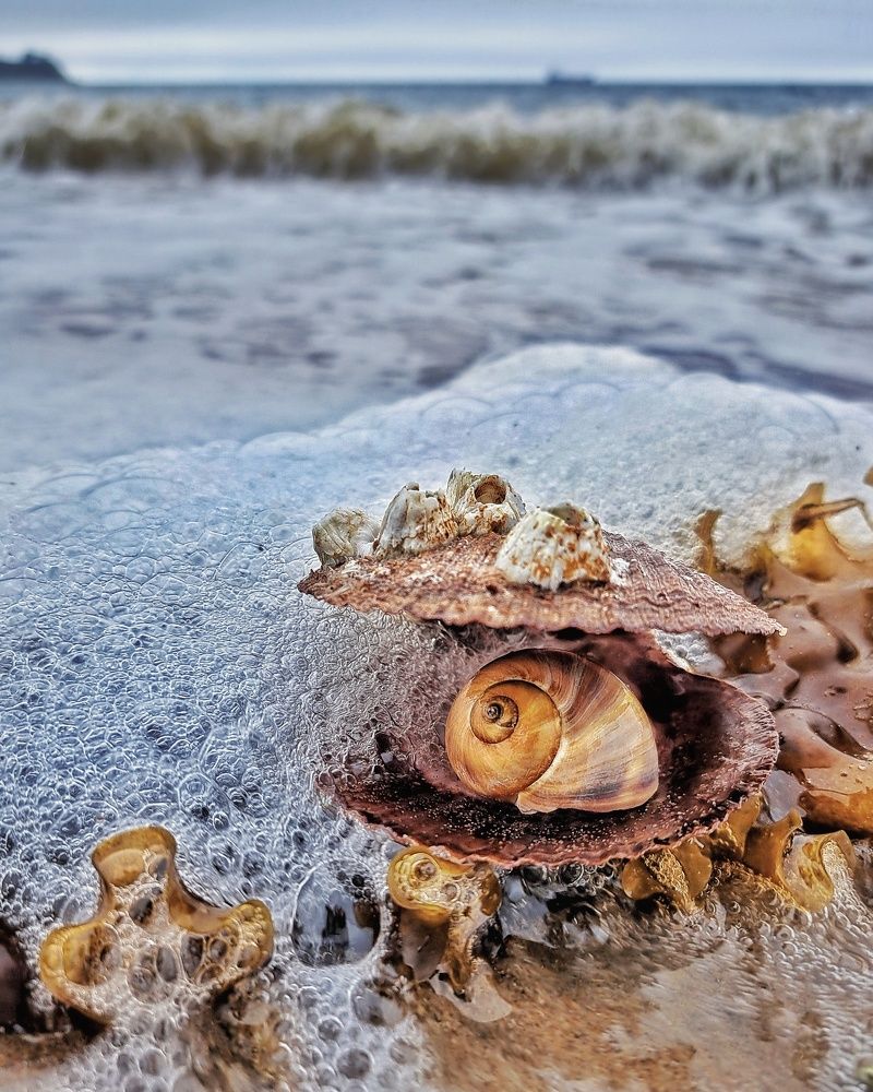 Photograph by MobigrafVDK