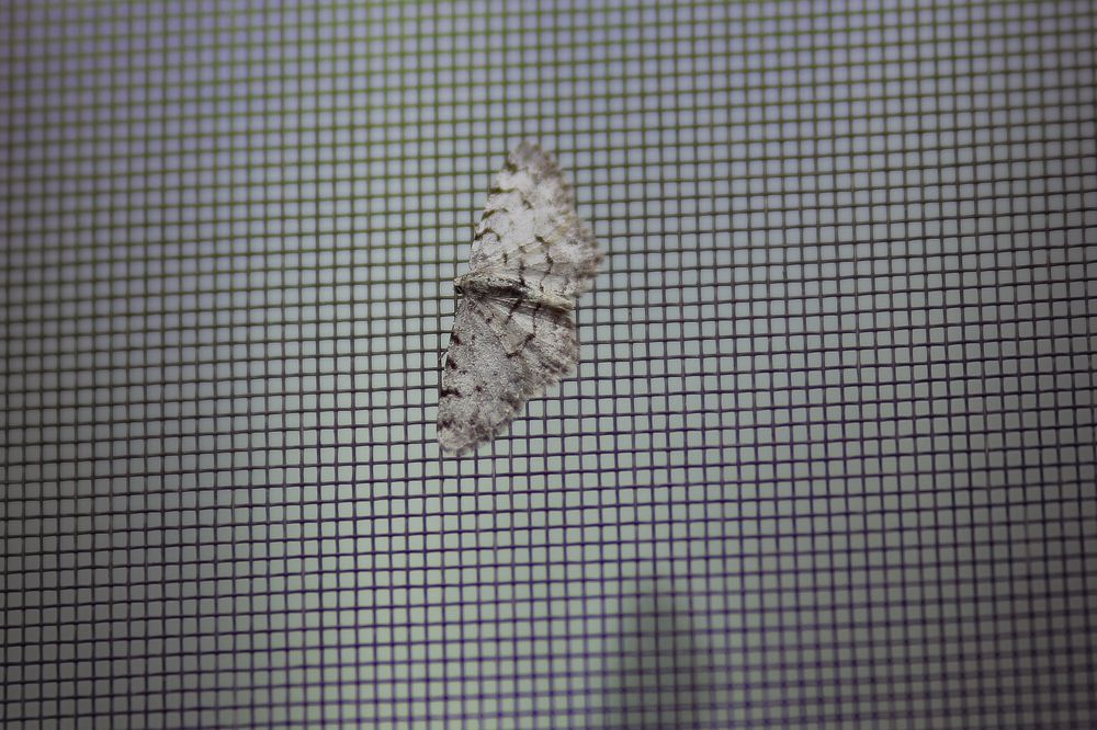 Photograph by Людмила Савчук