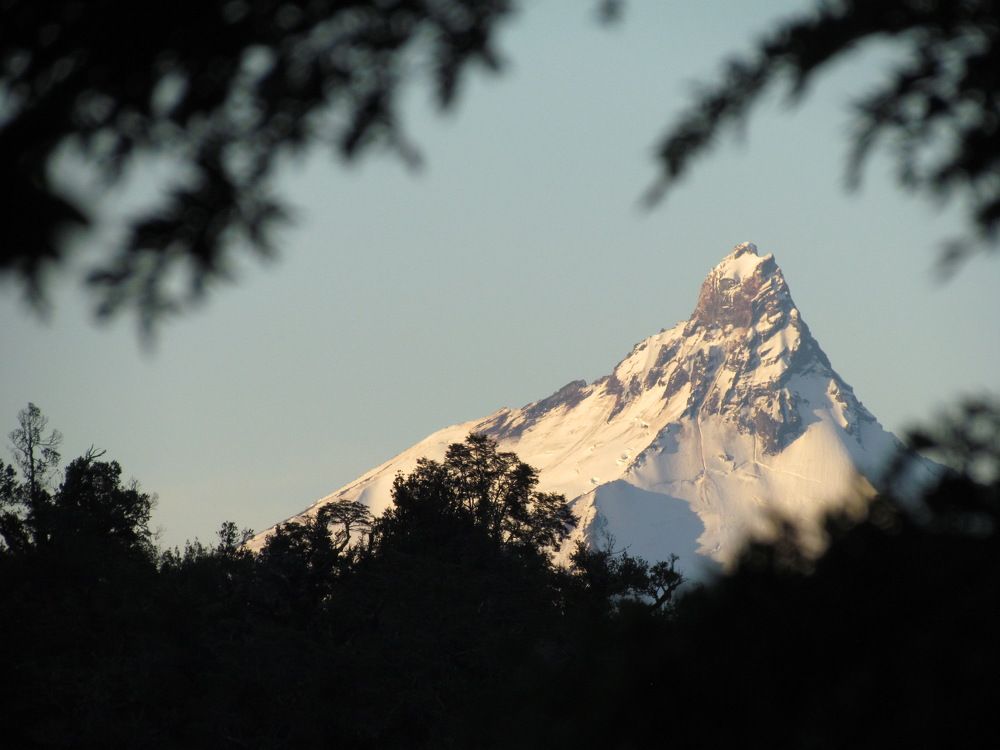 Photo #9211718