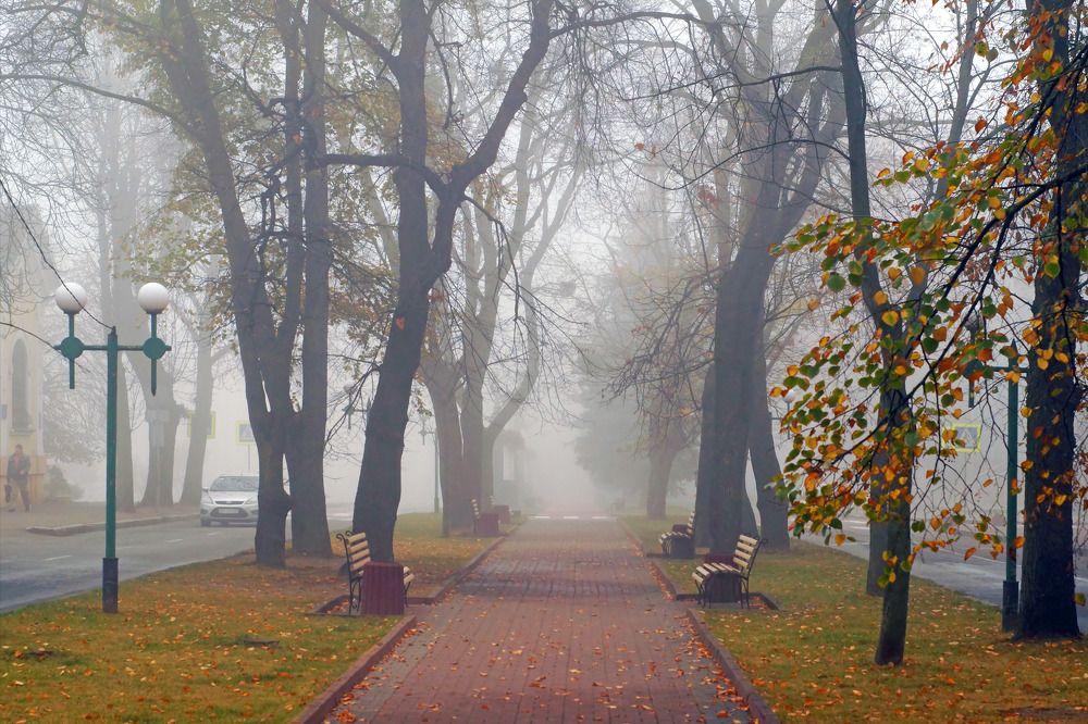 Photograph by Danyliuk Ruslan