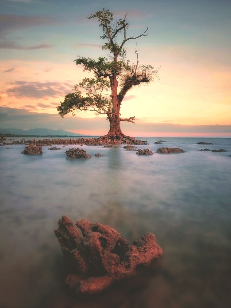 Photograph by Danny Boy Basaya