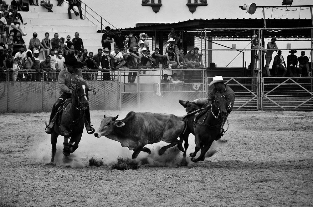 Photograph by Marila Sarduy Salati