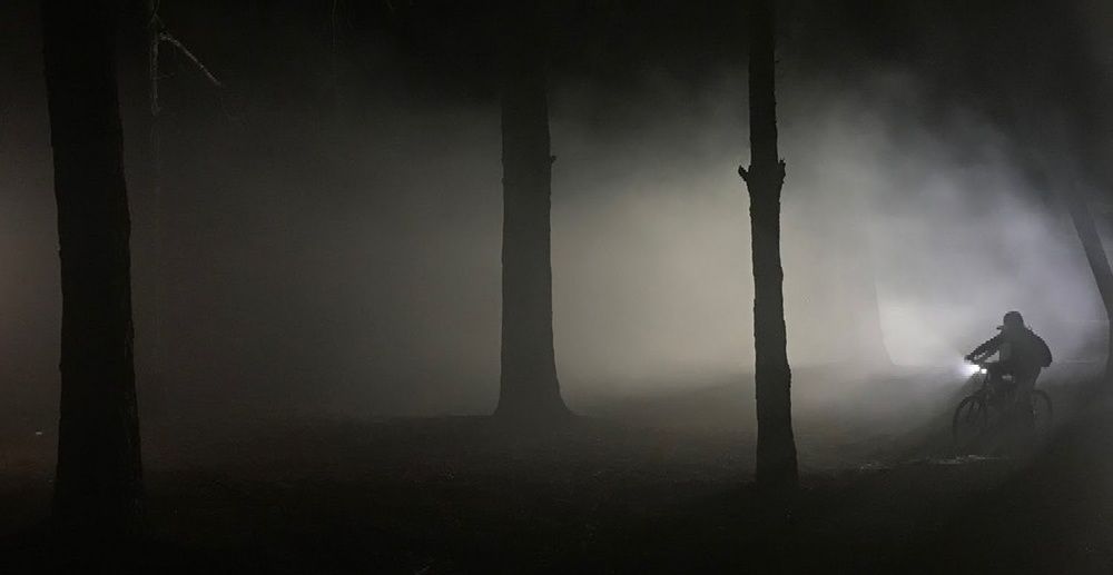 Photograph by Juan Luque