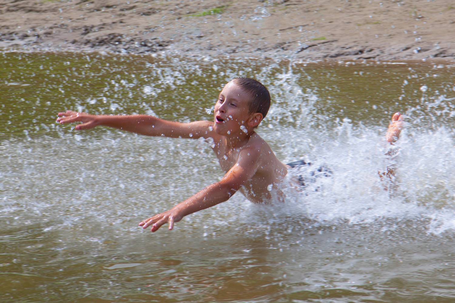 Photo #9211974