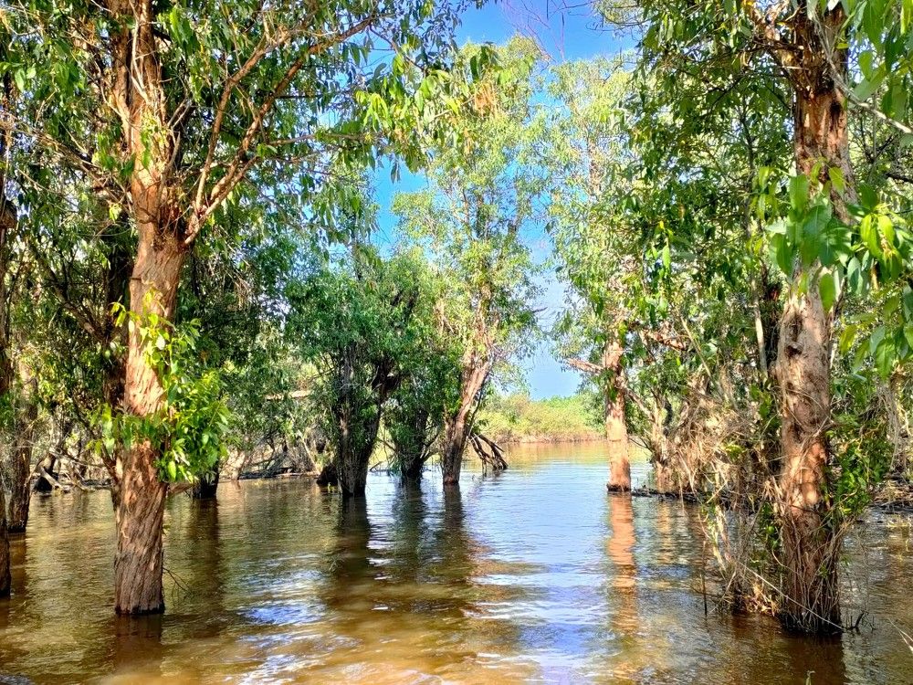 Photograph by Мазур Максим