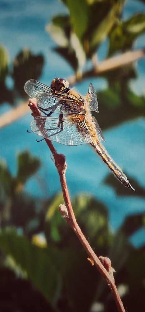 Photograph by Vera Nefedova