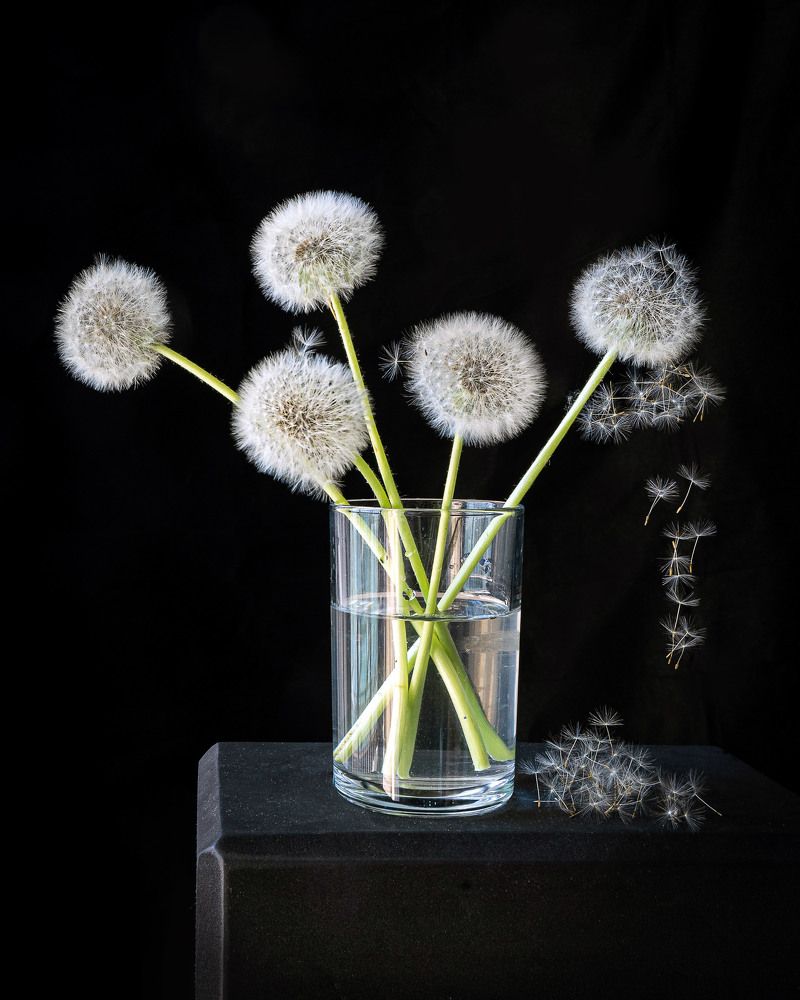 Фотография автора Юлия Есина