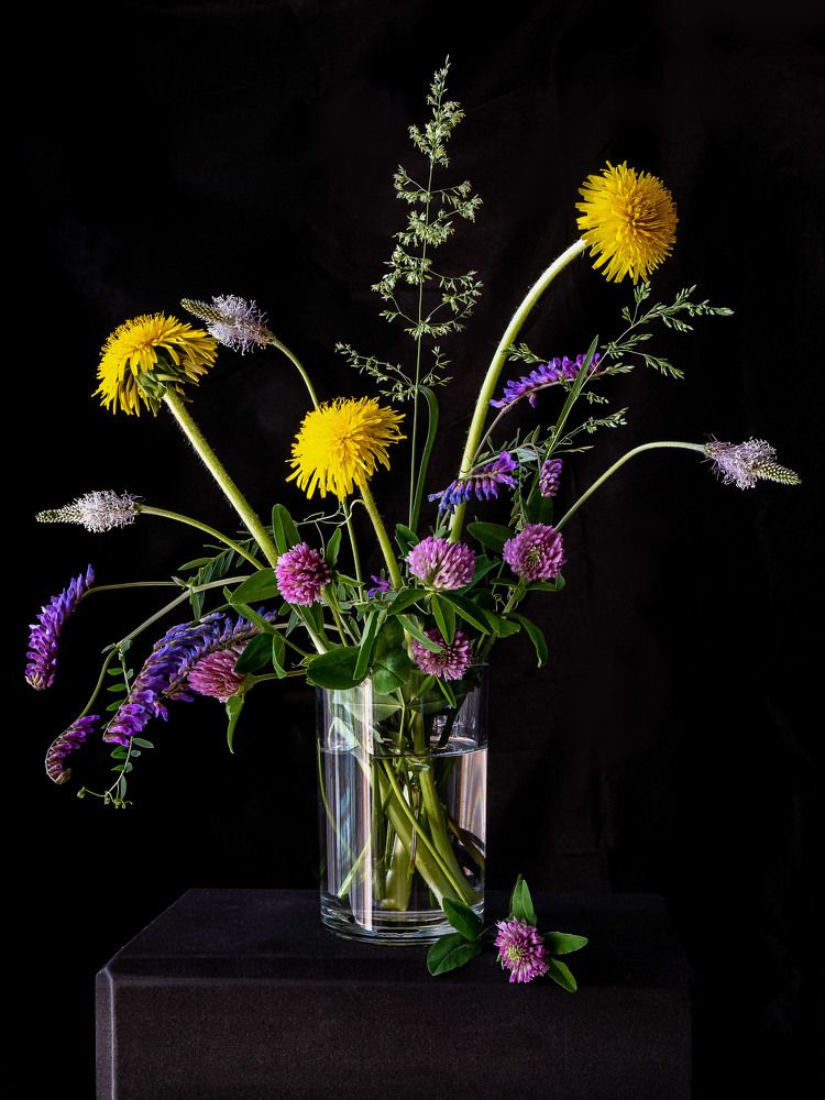 Фотография автора Юлия Есина