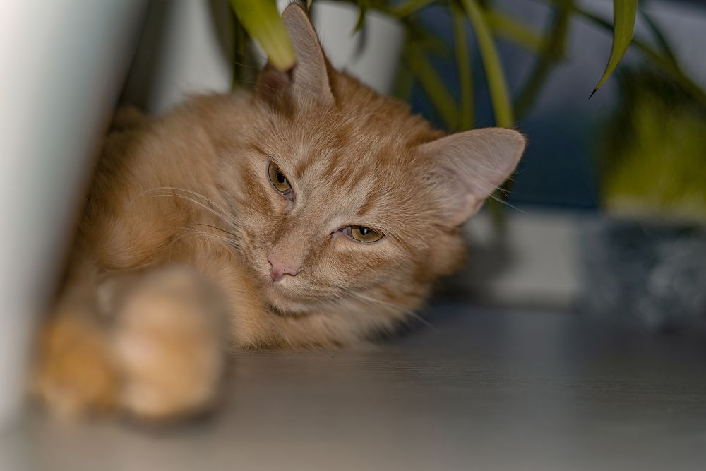 Photograph by Алёна