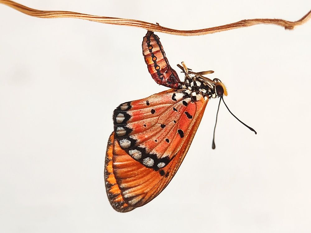 Photograph by Dharmendra Padhiyar