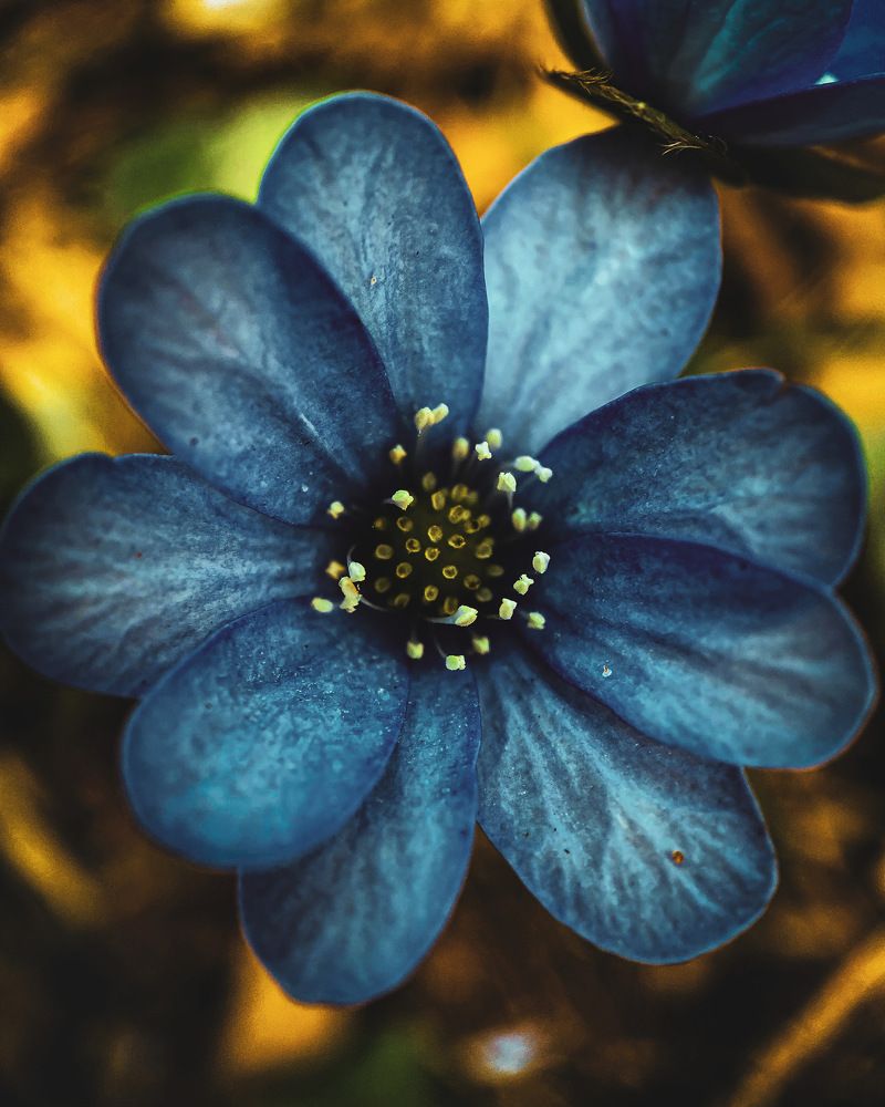 Photograph by Александр