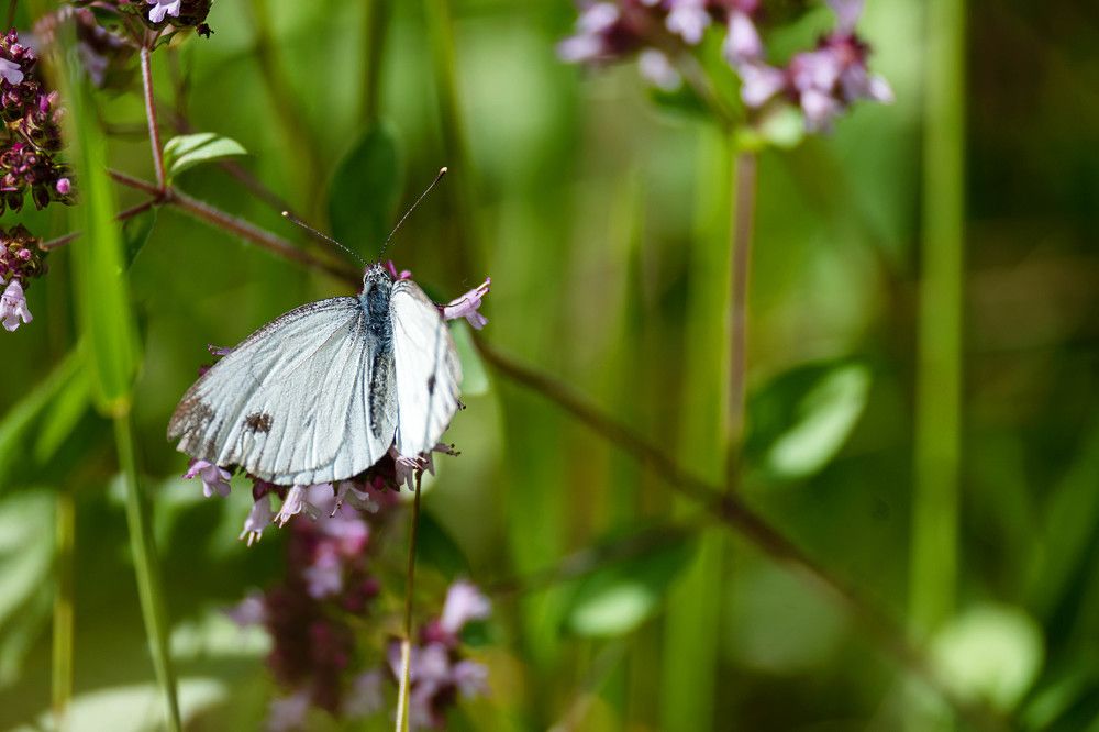 Photograph by Maria Zhdanova