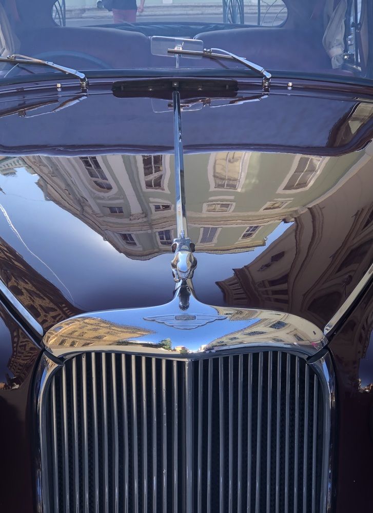 Photograph by Мария Бессмертная