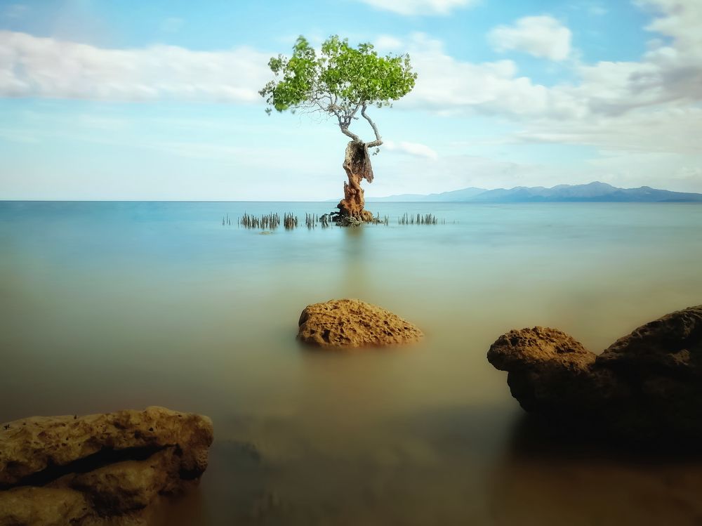 Photograph by Danny Boy Basaya