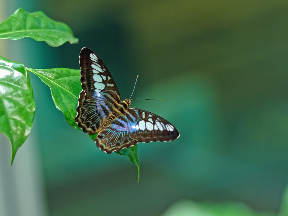 Photograph by RAJESH MAHAJAN