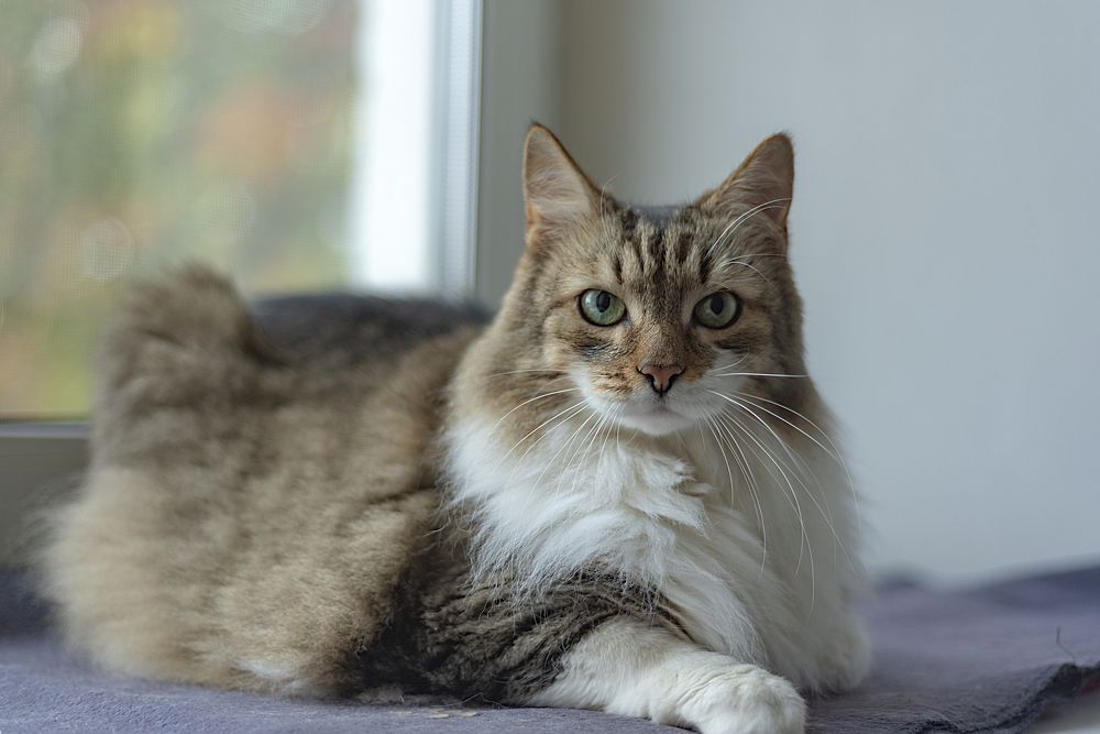 Photograph by Алёна