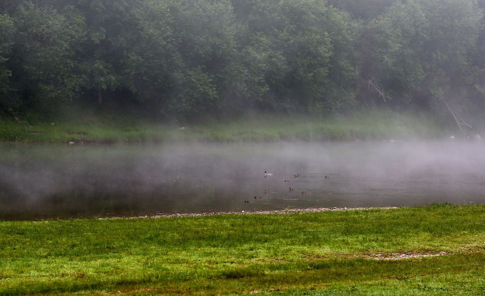 Photograph by Андрей Стародубцев