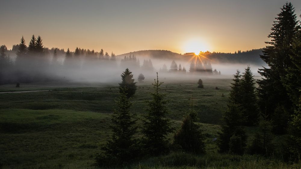 Photograph by Bevzenko Roman