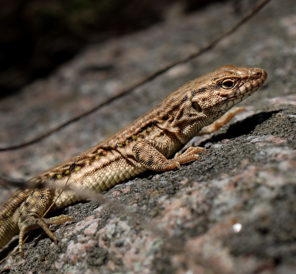 Photograph by Оксана Сафина