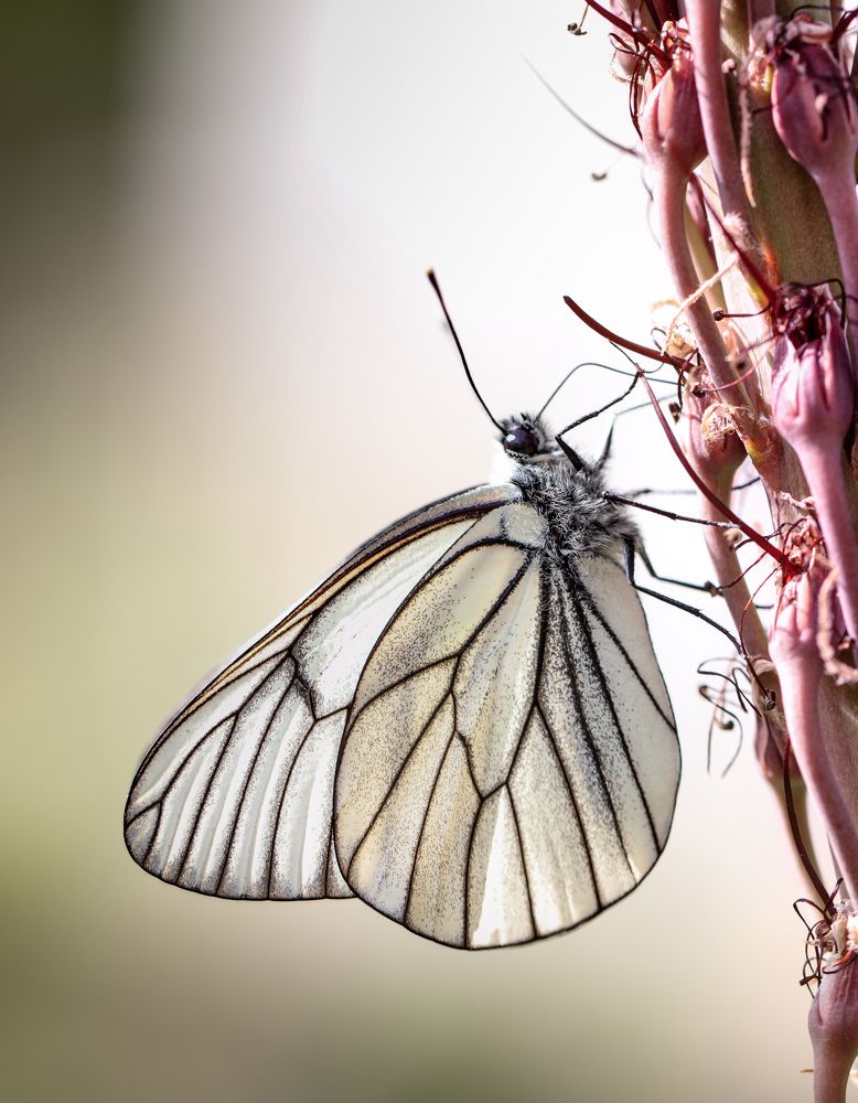 Photograph by Оксана Сафина