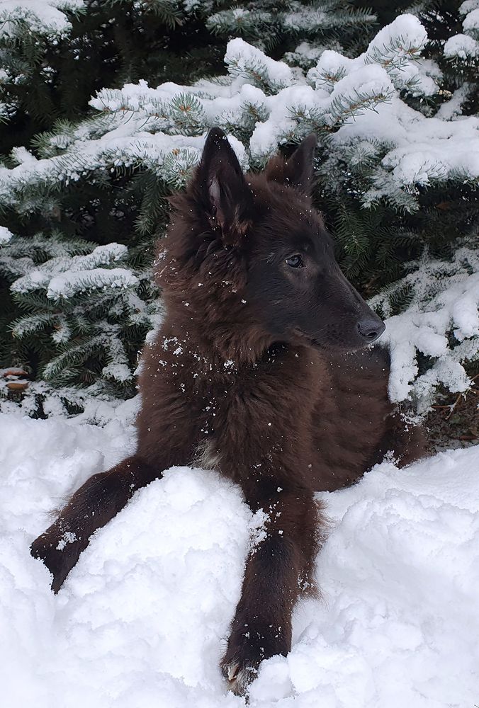 Фотография автора Надежда Лисицына