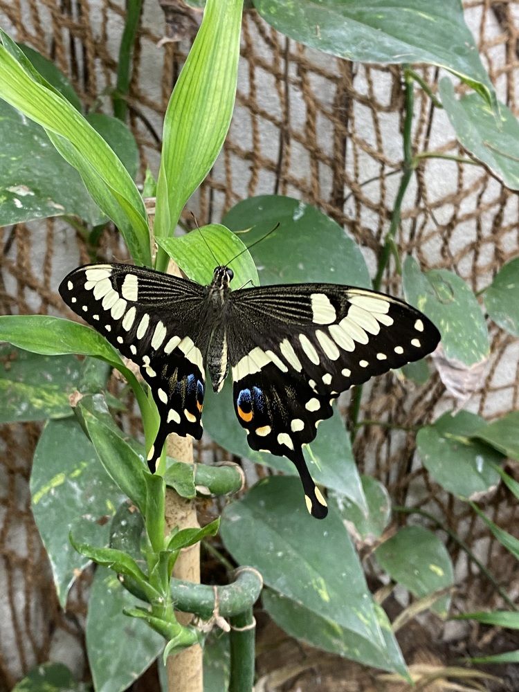 Photograph by Eugenia Schmidt